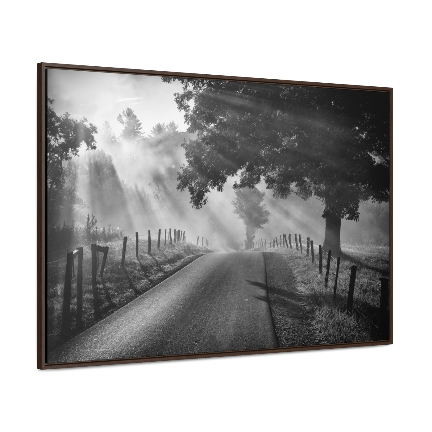 Old Country Road Black and White Framed Canvas Art