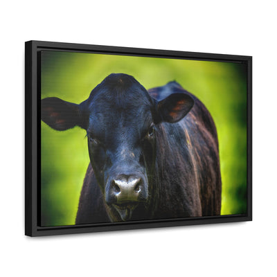 Framed Cow Wall Art