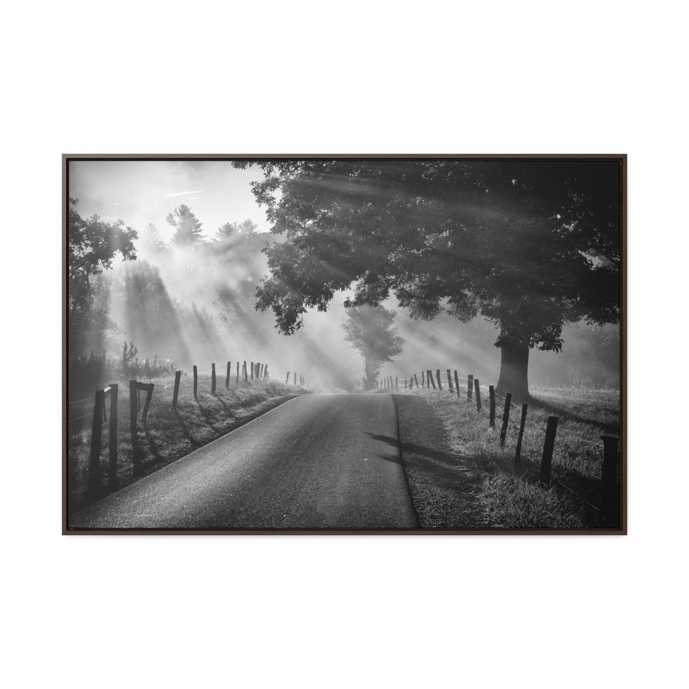 Old Country Road Black and White Framed Canvas Art