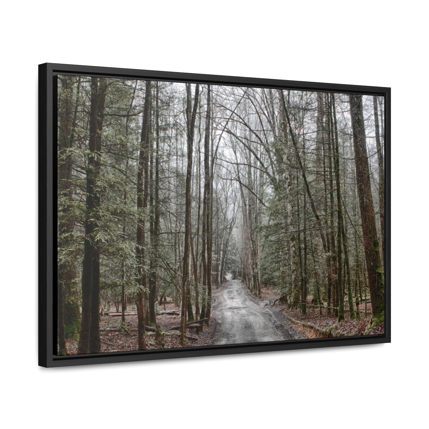 Mountain Road Framed Canvas Art