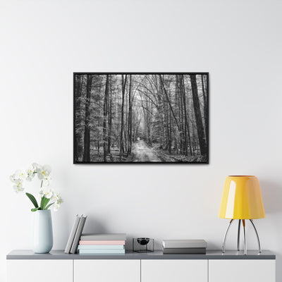 Dirt Road Black and White Framed Canvas Wrap