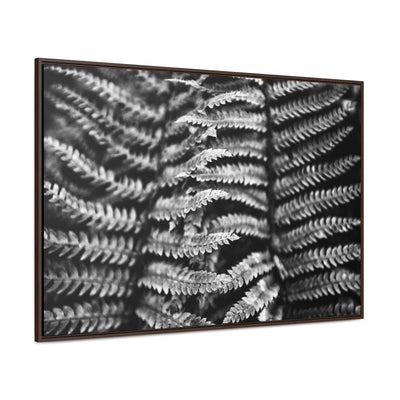 Black and White Fern Framed Canvas Art Print