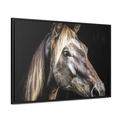 Rustic Horse Framed Canvas Art Print