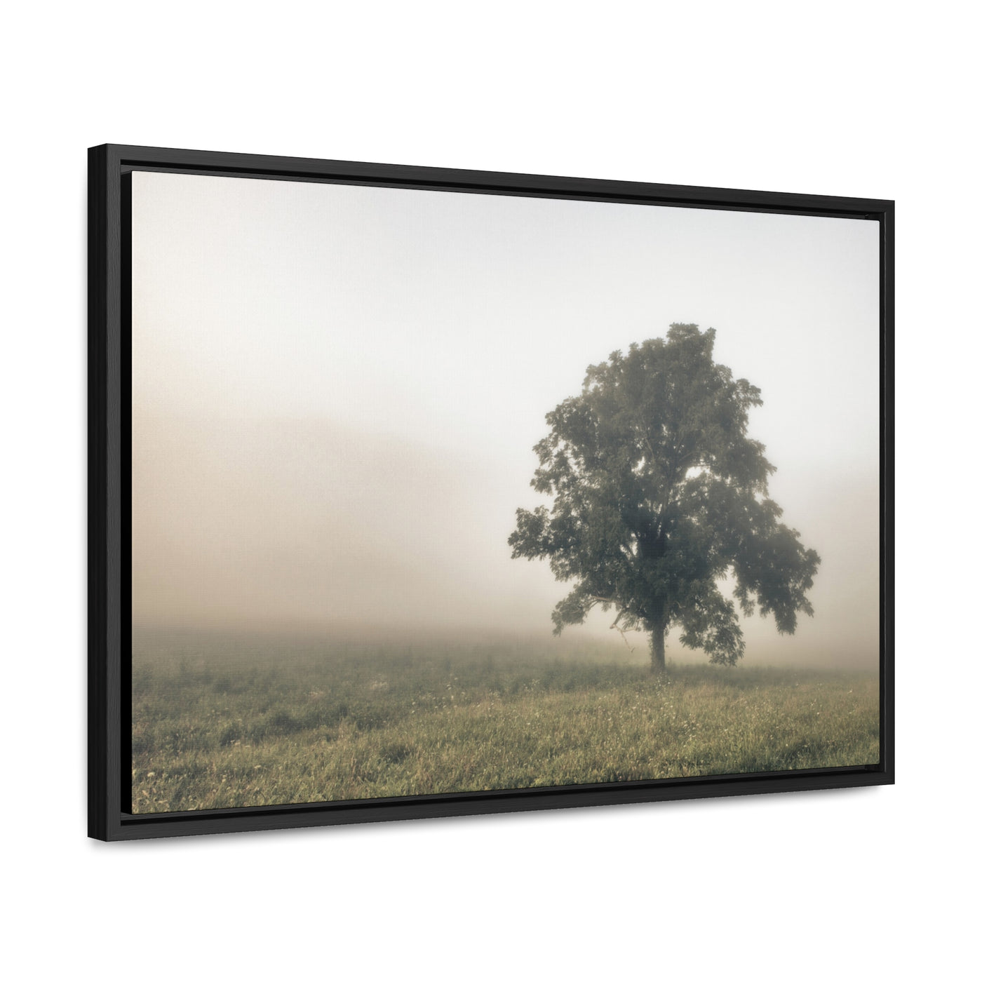 Tree in a Field Framed Canvas Wall Art Print