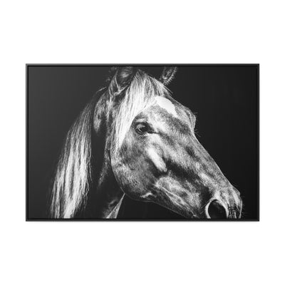 Black and White Horse Art Framed Canvas Print