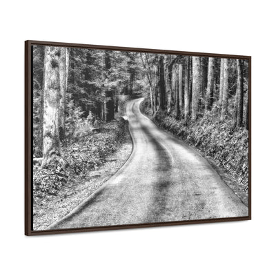 Black and White Mountain Road Framed Canvas Art Print