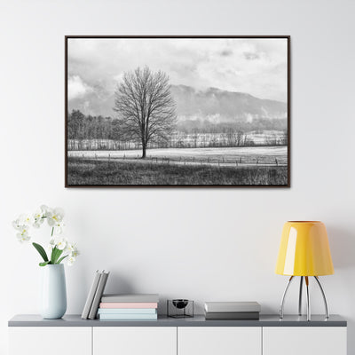 Black and White Tree and Country Road Framed Canvas Art Print