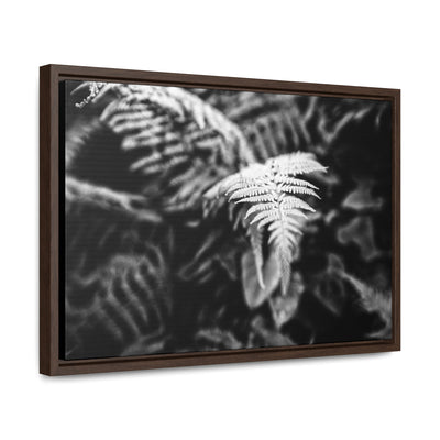 Calming Fern Art Framed Canvas Wrap