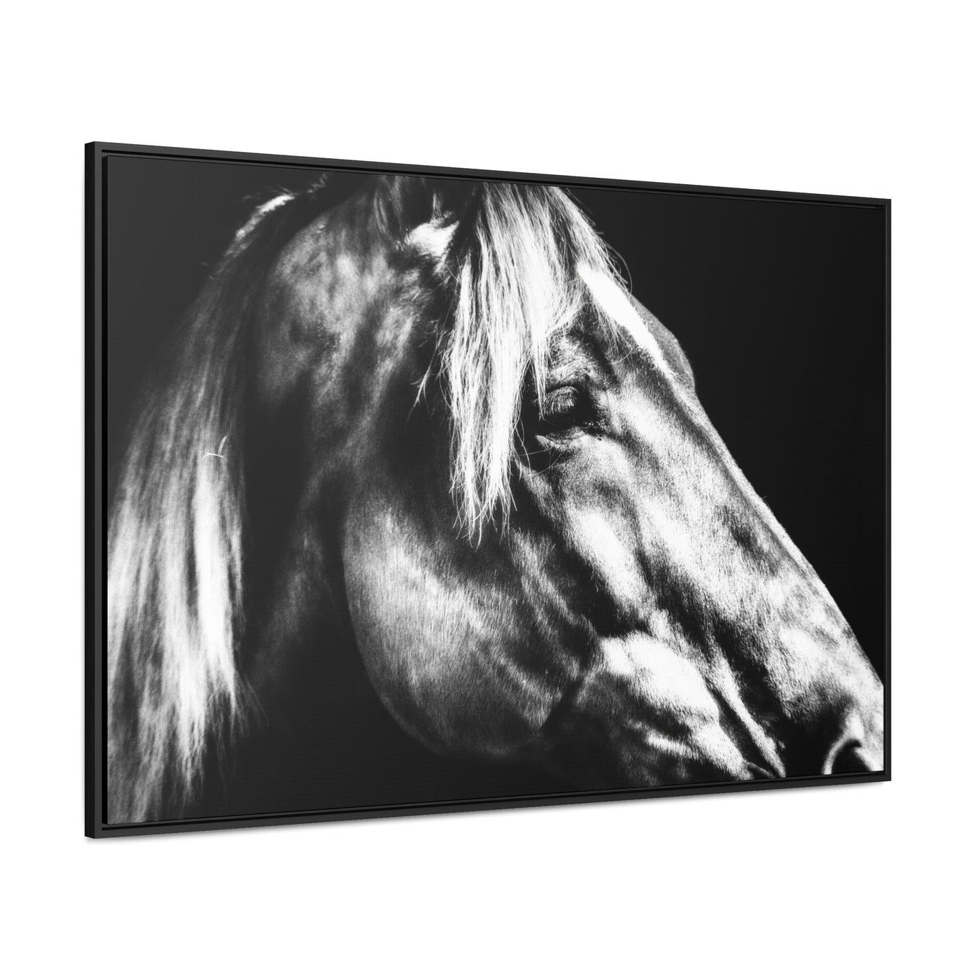 Black and White Horse Art Framed Canvas Wrap