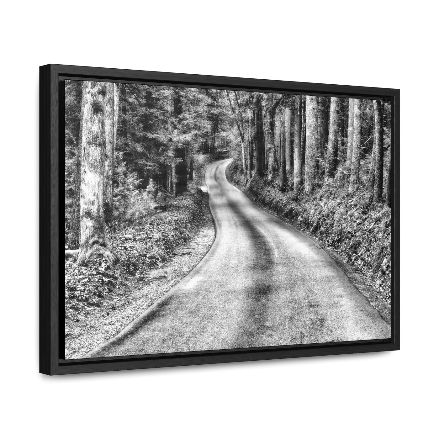 Black and White Mountain Road Art Print