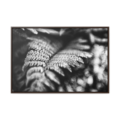 Black and White Fern Framed Canvas Art Prints