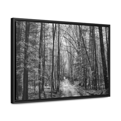 Dirt Road Black and White Framed Canvas Wrap