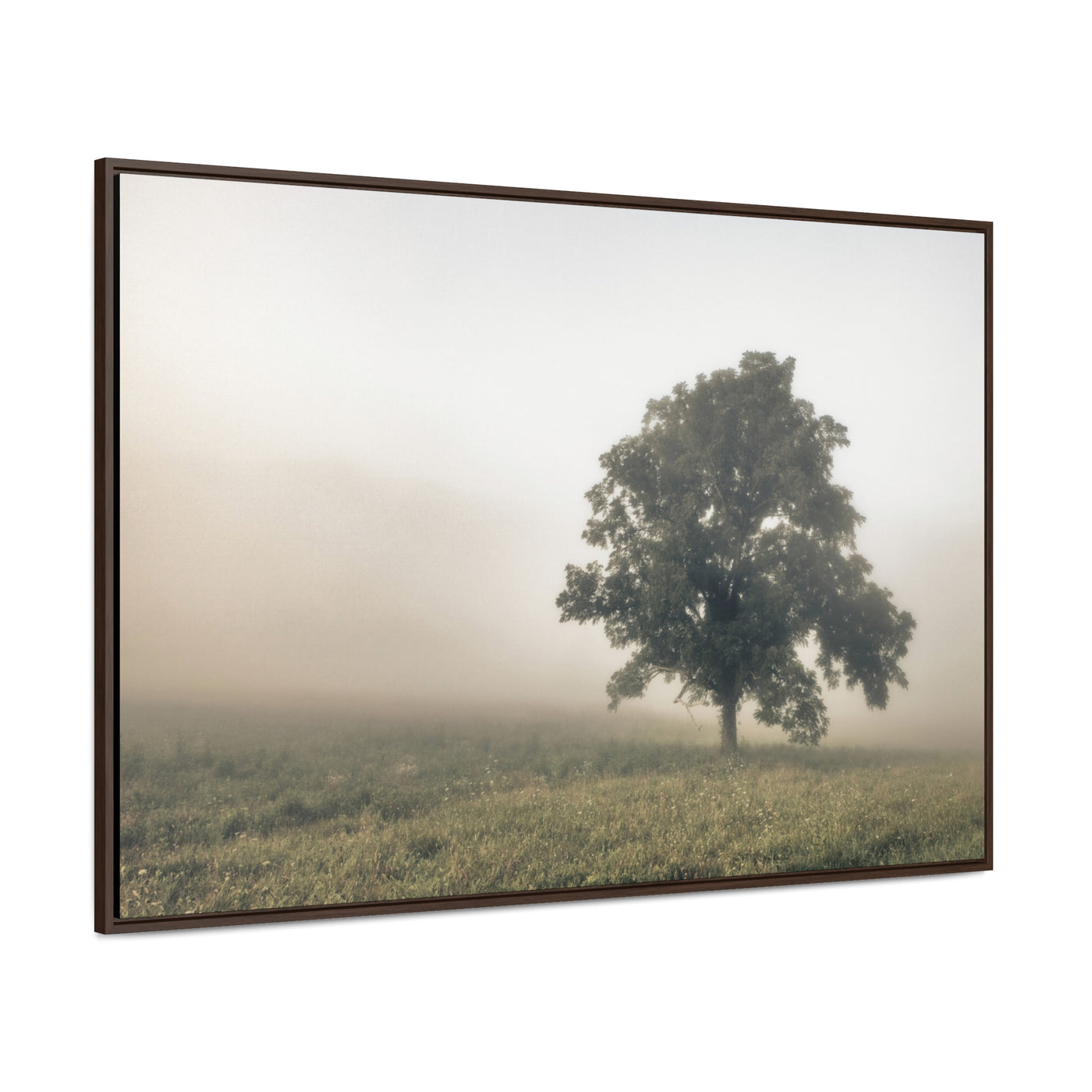 Tree in a Field Framed Canvas Wall Art Print