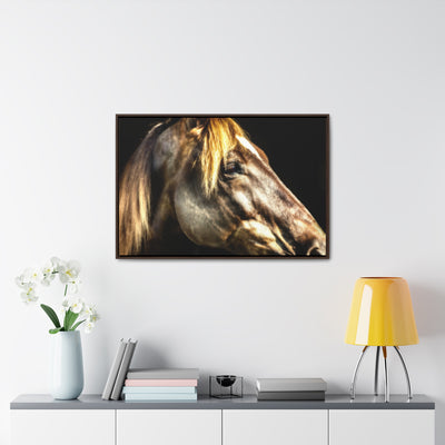 Horse Art Framed Canvas Print