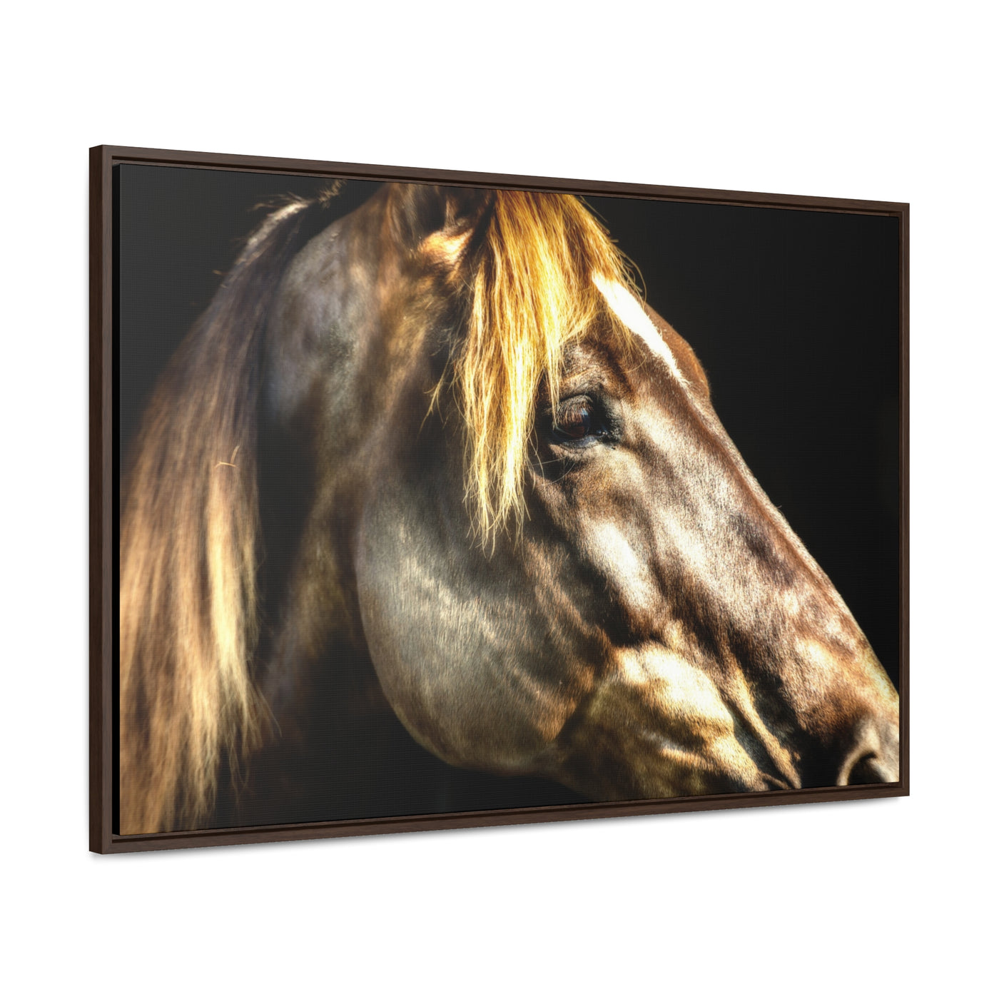 Horse Art Framed Canvas Print