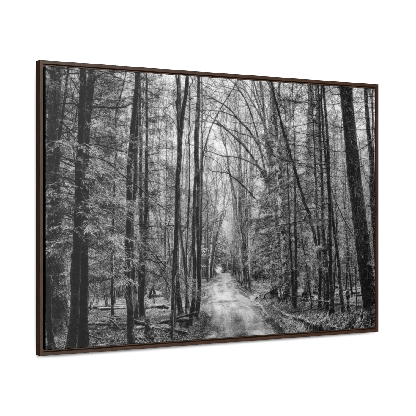 Dirt Road Black and White Art Print