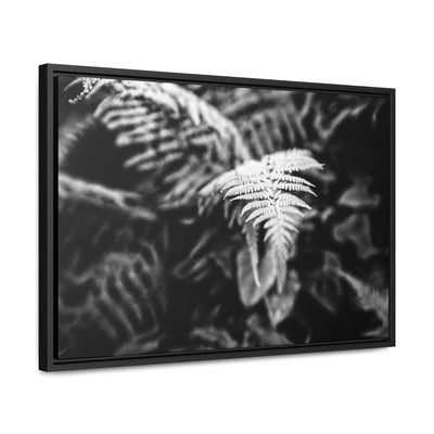 Calming Fern Art Framed Canvas Wrap