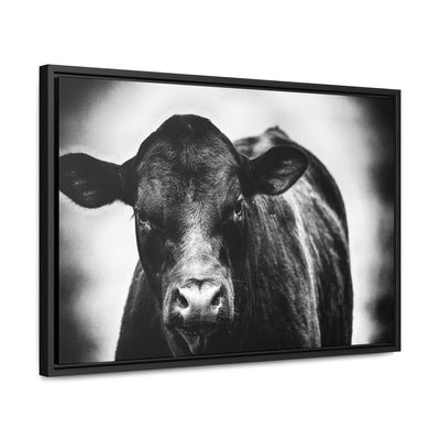 Black and White Cow Art Framed Canvas Wrap