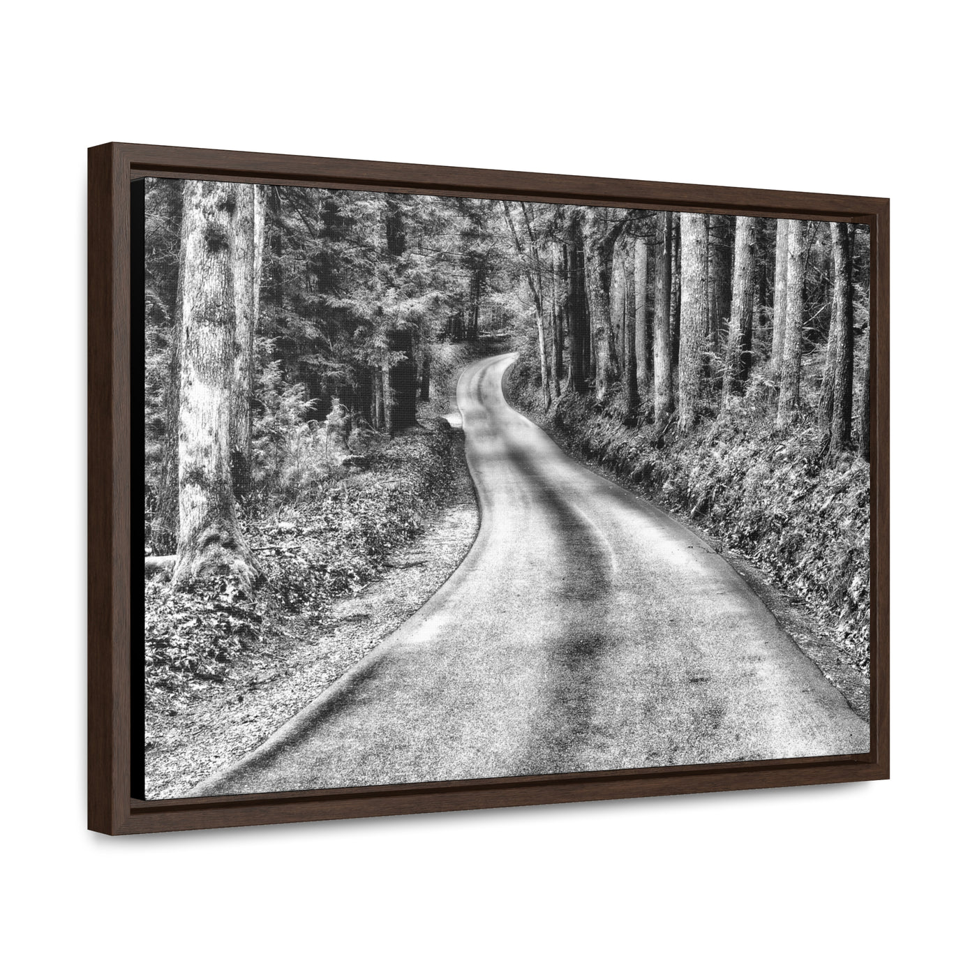 Black and White Mountain Road Art Print