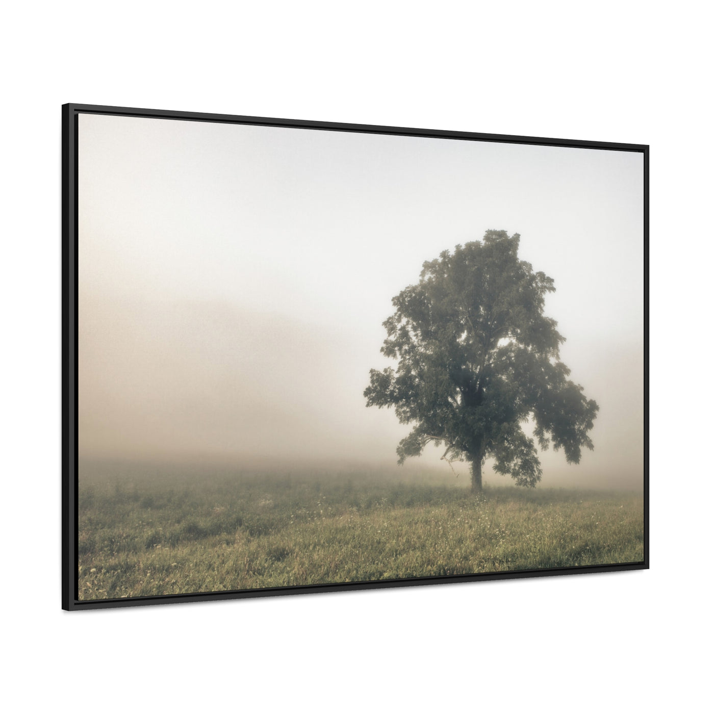 Tree in a Field Framed Canvas Wall Art Print