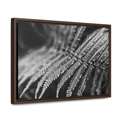 Relaxing Art Black and White Fern Framed Canvas Print