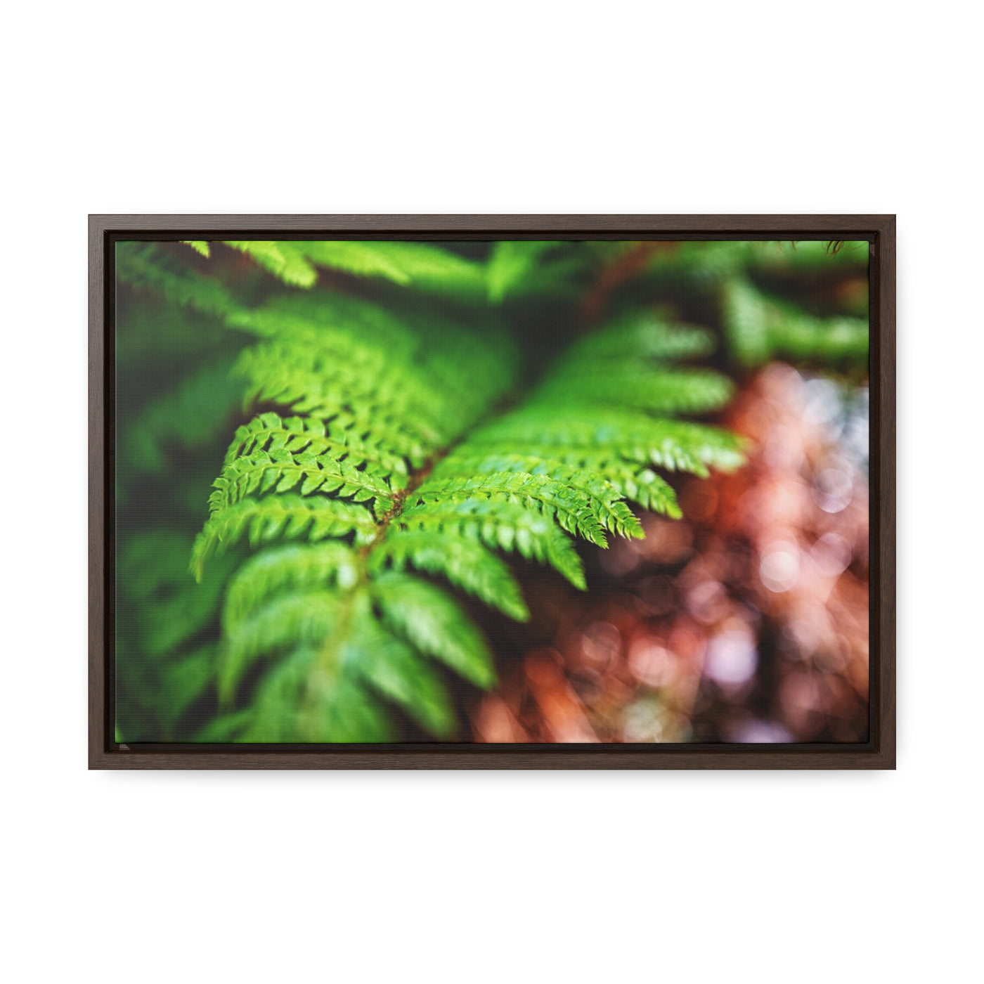 Fern Relaxing Framed Canvas Wall Art