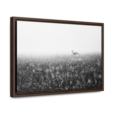 Whitetail Buck Jumping Black and White Framed Canvas Art