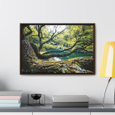 Flowing Tree Branches by a Pond Art Print