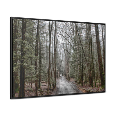 Mountain Road Framed Canvas Art