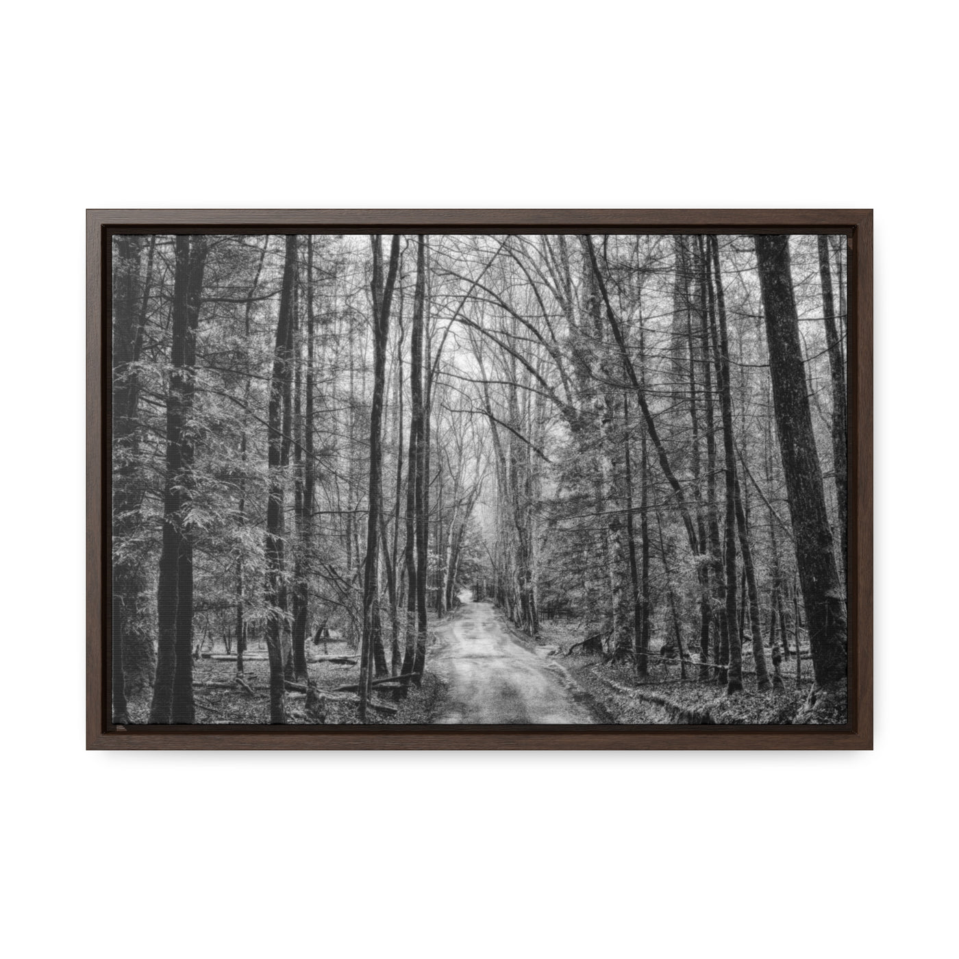 Dirt Road Black and White Art Print