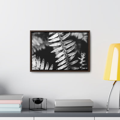 Calming Artwork - Black and White Fern Framed Canvas Art Print