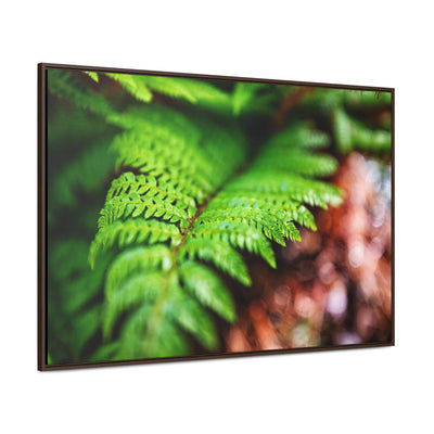 Fern Relaxing Framed Canvas Wall Art