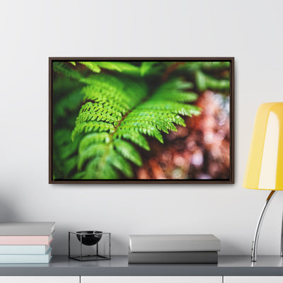 Fern Relaxing Framed Canvas Wall Art