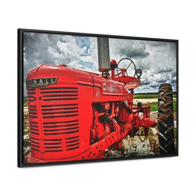 Red Tractor Farmall Framed Canvas Art Print