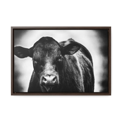 Black and White Cow Art Framed Canvas Wrap