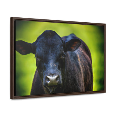 Framed Cow Wall Art