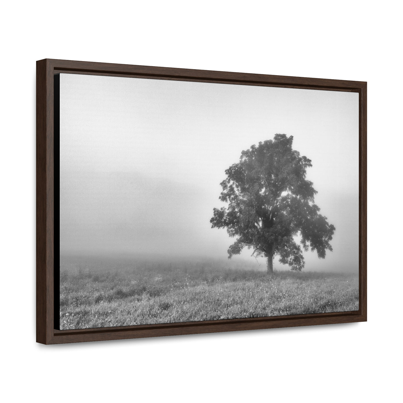 Tree in a Foggy Field Black and White Print