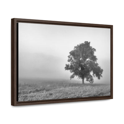 Tree in a Foggy Field Black and White Framed Canvas Print