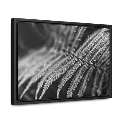 Relaxing Art Black and White Fern Framed Canvas Print