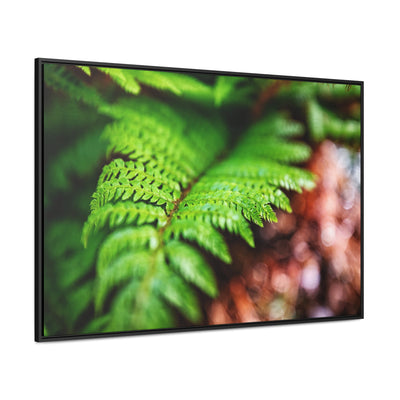 Fern Relaxing Framed Canvas Wall Art