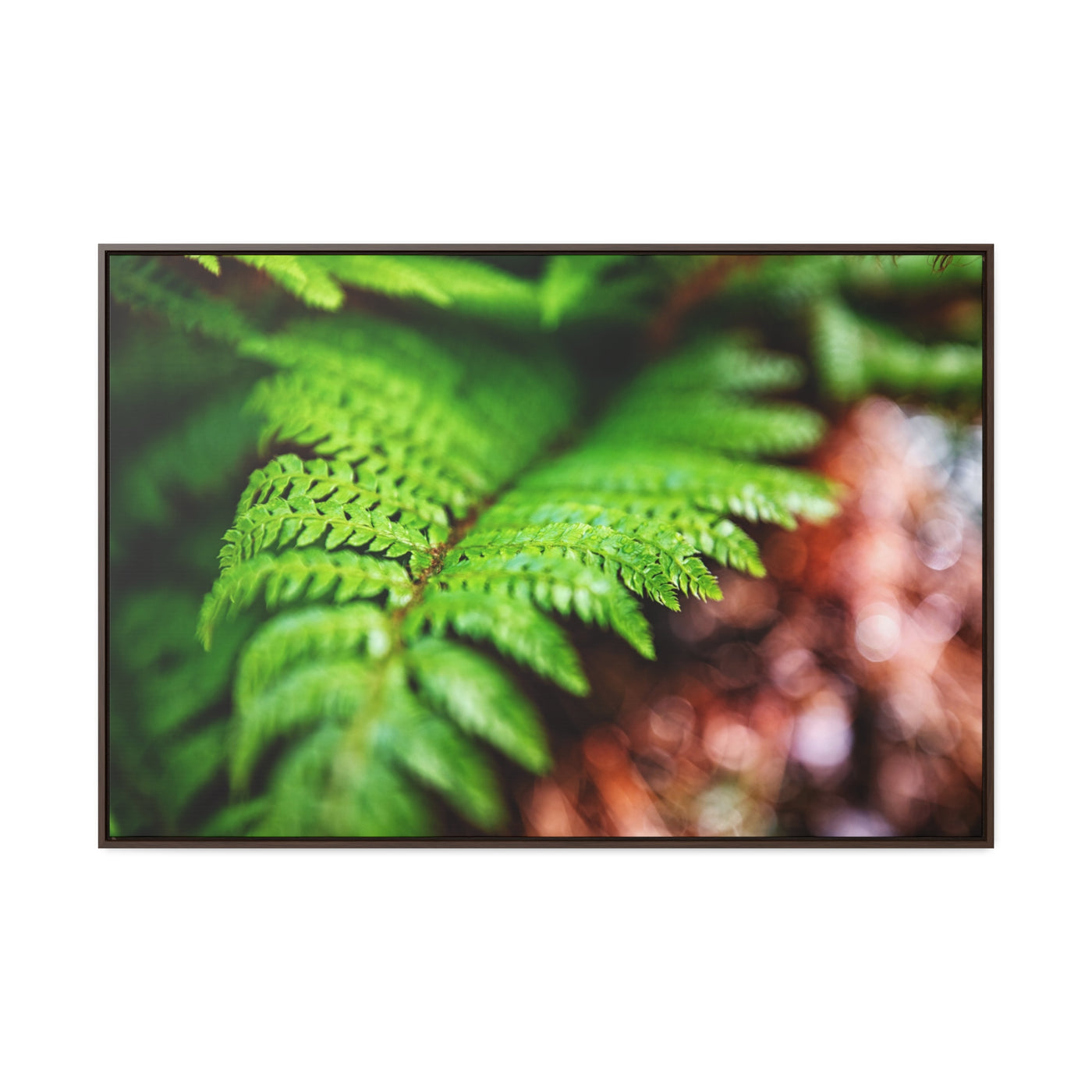 Fern Relaxing Framed Canvas Wall Art