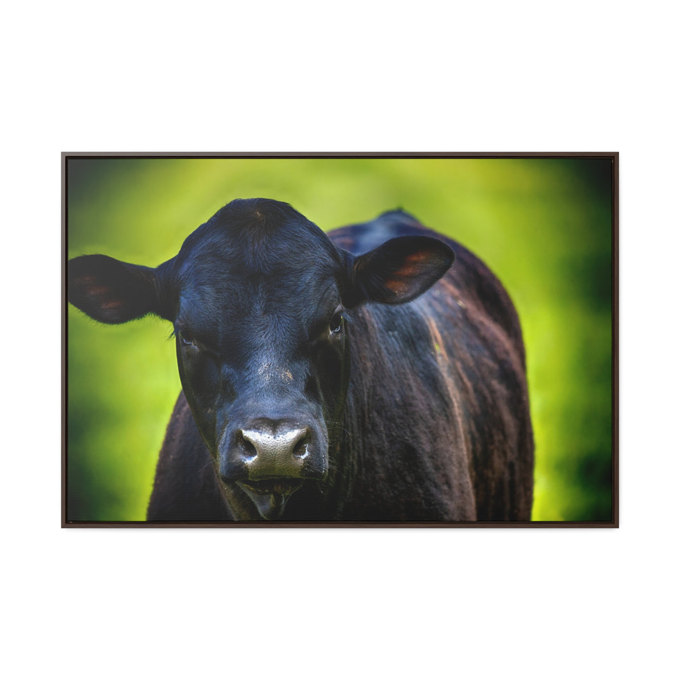 Framed Cow Wall Art