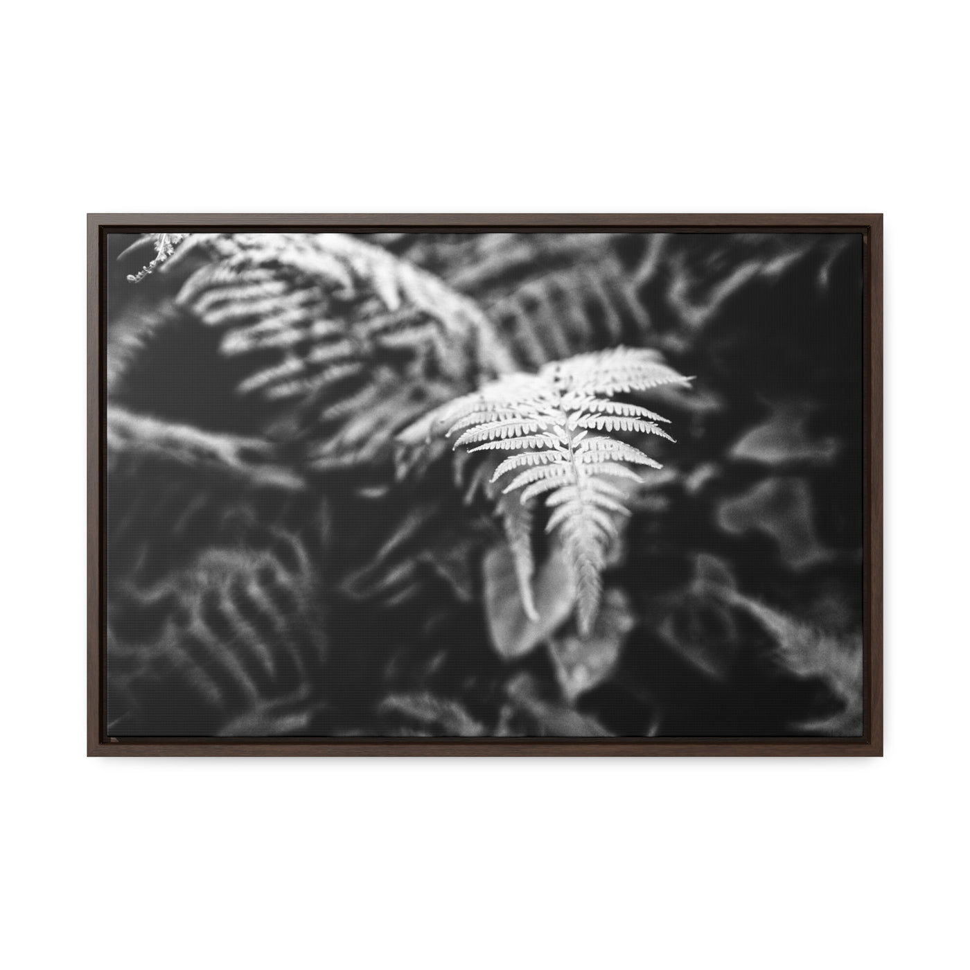 Calming Fern Art Framed Canvas Wrap