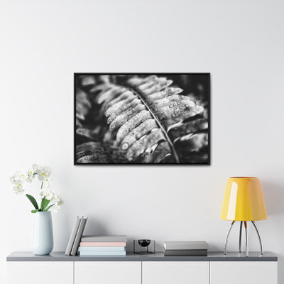 Black and White Fern Framed Canvas Wall Art Print