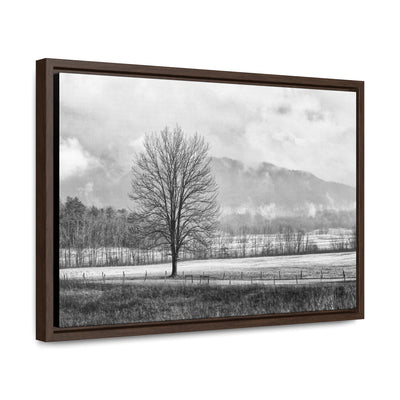 Black and White Tree and Country Road Framed Canvas Art Print