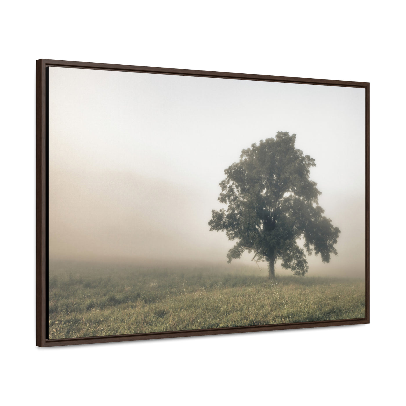 Tree in a Field Framed Canvas Wall Art Print