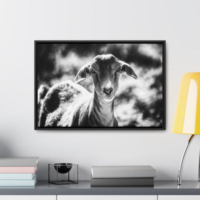 Black and White Goat Art Framed Canvas Wrap