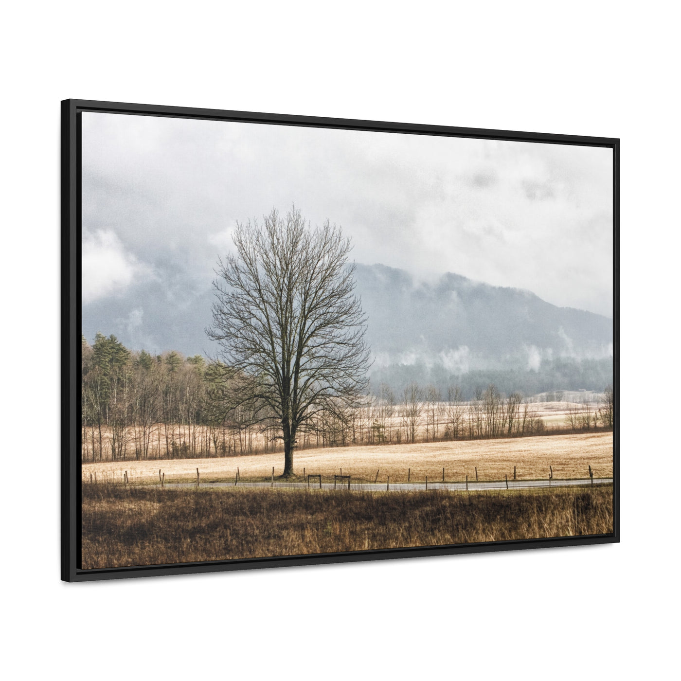 Winter Tree in a Field Framed Canvas Art Print