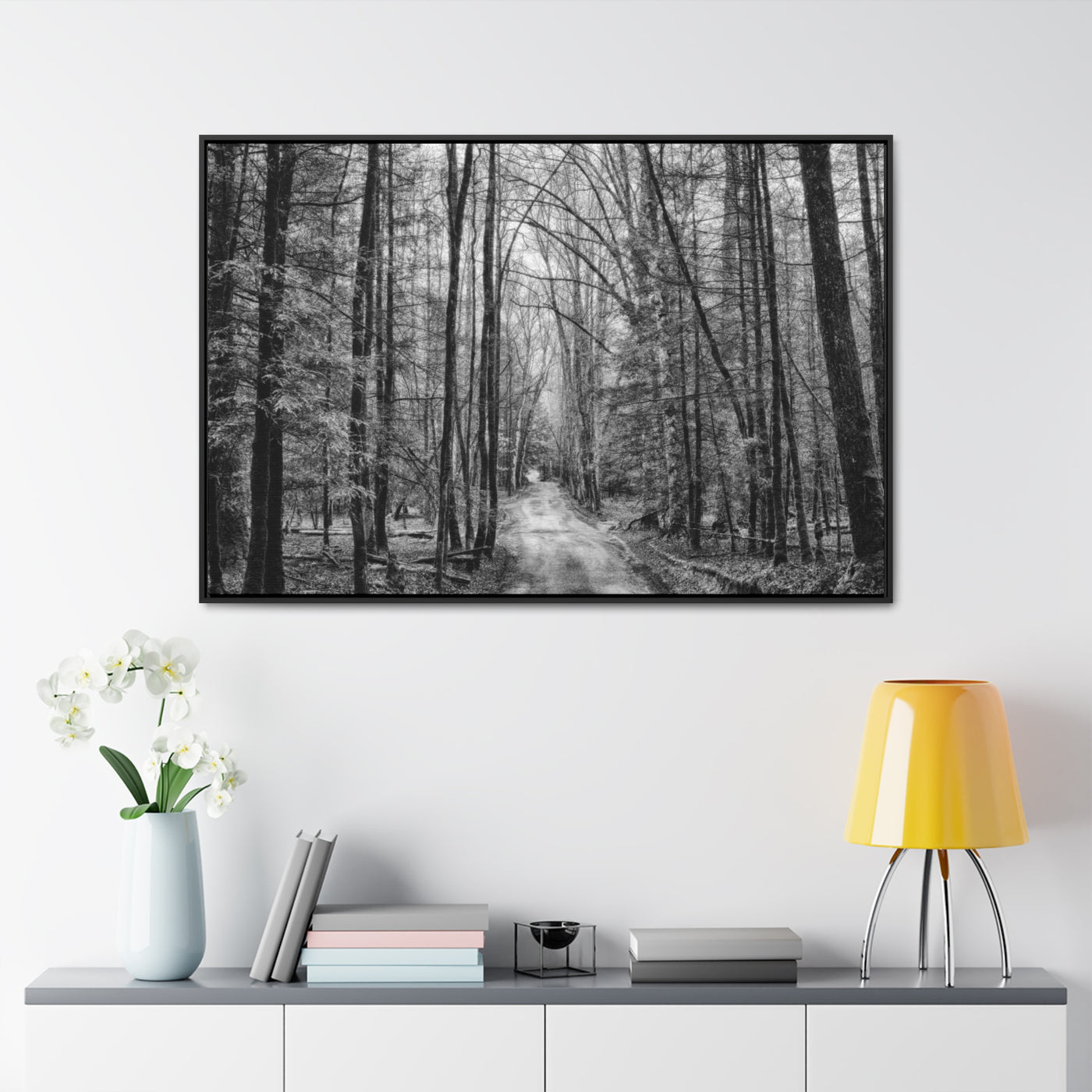 Dirt Road Black and White Framed Canvas Wrap