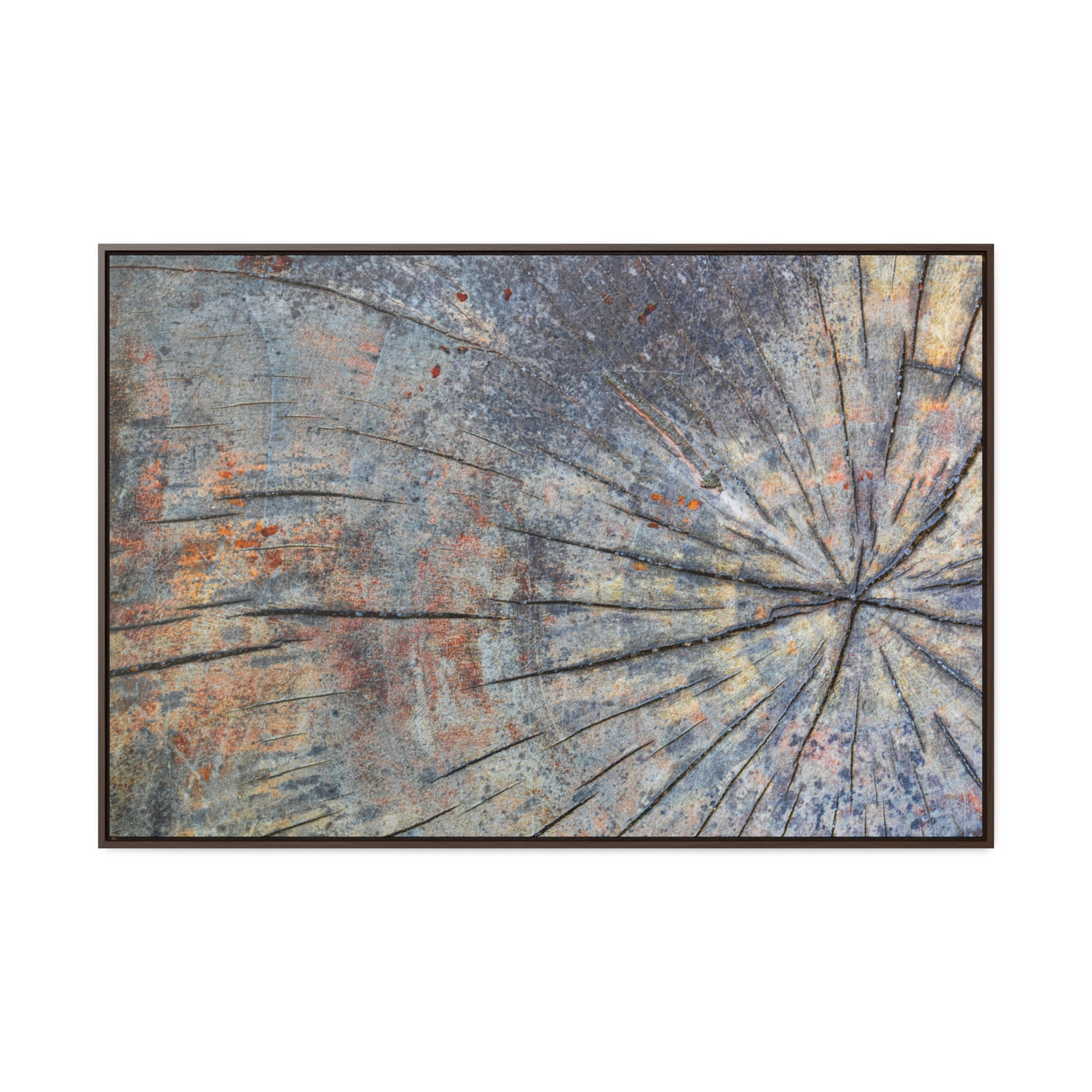 Tree Stump Rings Framed Canvas Rustic Art Print